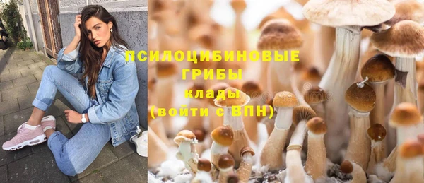 а пвп мука Арсеньев