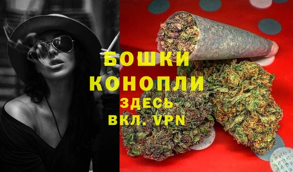 ПСИЛОЦИБИНОВЫЕ ГРИБЫ Балабаново