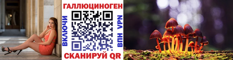 как найти закладки  Волгоград  Псилоцибиновые грибы MAGIC MUSHROOMS 